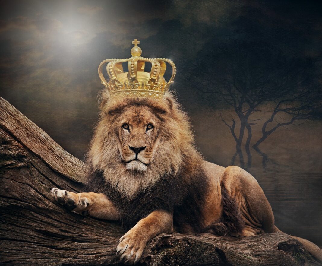 Qu'est-ce que le jeton Crown (CRW) - pixabay - king-g3d2cbe591_1280