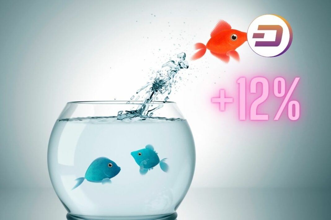 Le Dash a bondi de 12% et se prépare la croix d'or d'EMA - canva