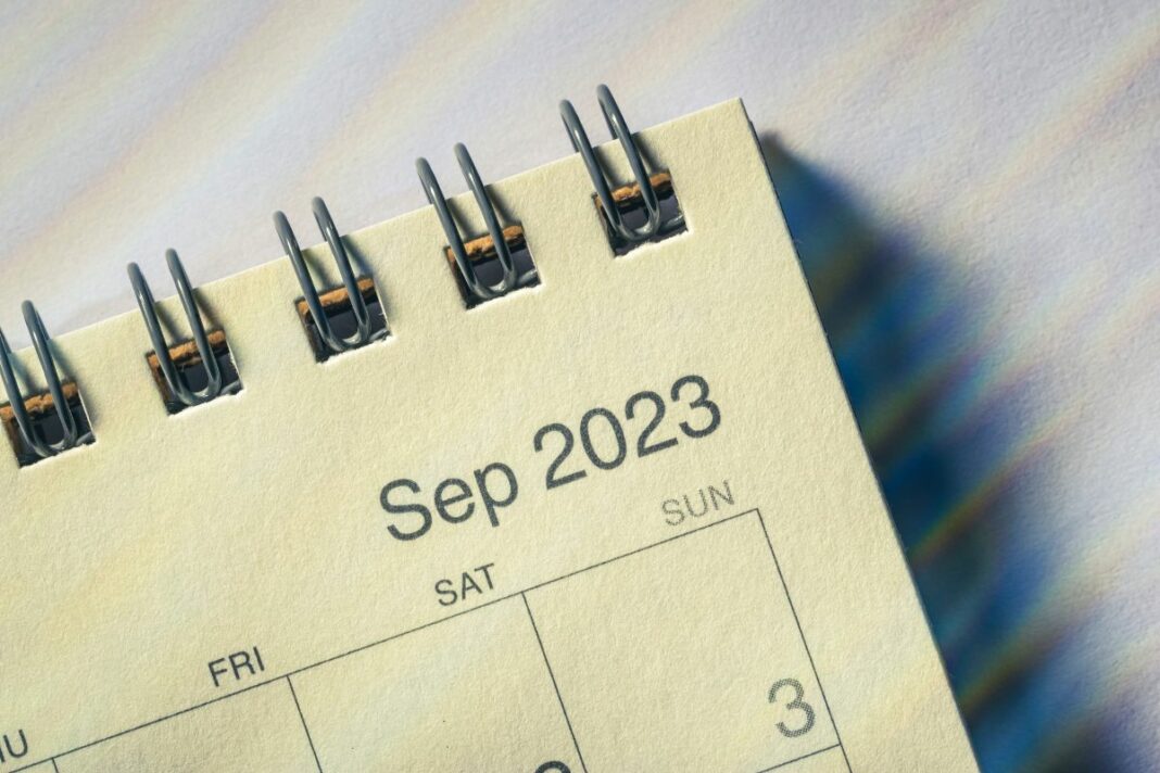Faut-il acheter du DASH en septembre - canva